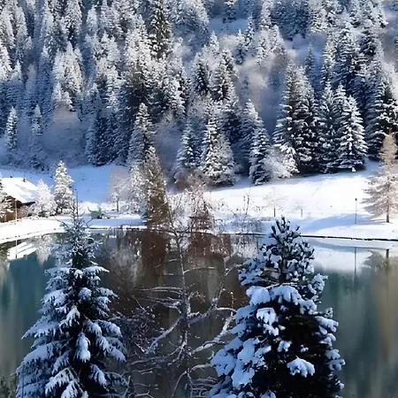Gentiane 5 Pers - Proche Pistes * Châtel