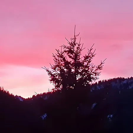 Gentiane 5 Pers - Proche Pistes Apartamento Châtel